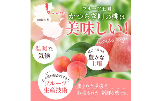 【先行予約】【厳選】あふれる果汁で口いっぱい！ 和歌山県産 桃 約2kg（6個~9個） 2025年6月末頃～2025年8月末頃に順次発送予定（お届け日指定不可）/ 和歌山 桃 モモ フルーツ もも 白