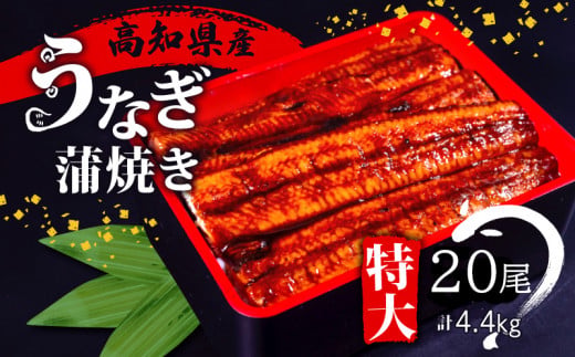 国産 うなぎ 蒲焼き 20尾 ( 1尾 約220g ) 尾頭付き 土用の丑の日 高知県産 蒲焼 特大 特上 鰻 ひつまぶし うな丼 うな重 お歳暮 ギフト 冷凍 養殖 ふるさと納税うなぎ 高知県 須崎市 秘伝タレ付き 真空パック 惣菜 人気 ランキング おすすめ 母の日 父の日 ME0102