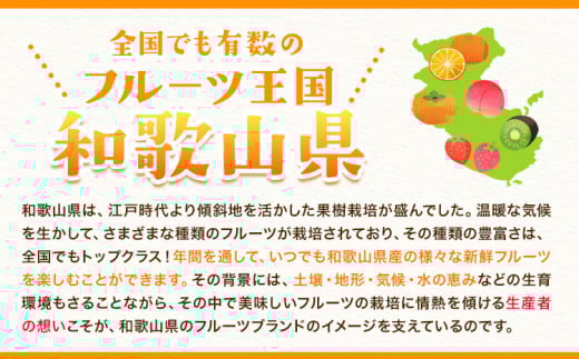 たねなし柿（刀根早生柿・平核無柿）約4kg《2025年9月中旬-11月上旬頃出荷(土日祝除く)》 和歌山県 岩出市 種なし柿 柿 果物 フルーツ 2L〜Mサイズ カキ 