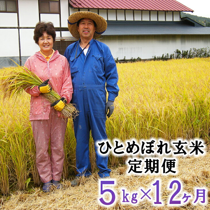 【ふるさと納税】新米 ひとめぼれ 【12ヶ月定期便】 玄米 減農薬栽培 5kg 令和7年産 ふるさと納税 米 定期便 お米