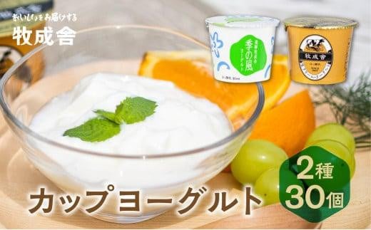 ＜牧成舎＞ 飛騨の牛乳屋のこだわりヨーグルト (30個セット)  飛騨高山  DF012