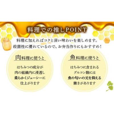 ふるさと納税 鏡野町 山田養蜂場 里山の百花蜂蜜300g(プラ容器入)×3本 (64253) |  | 01