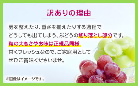 訳あり 紅白ぶどう2種（シャインマスカット＆クイーンニーナ）食べ比べ 切り落とし 計約1kg  【合同会社 社方園】[ZBZ041]