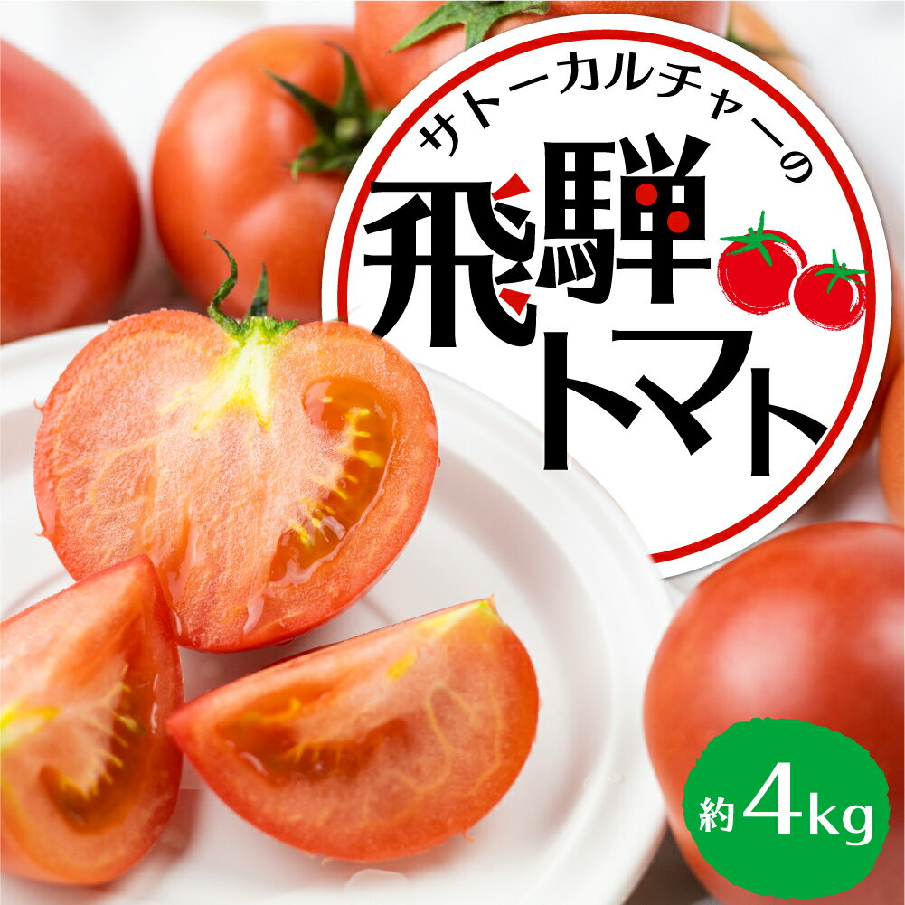 【ふるさと納税】《令和7年産先行予約》飛騨トマト 約4kg（20−28玉）産地直送 野菜 とまと トマト 麗月 夏野菜 やさい サトーカルチャー [Q1729_24] 12000円