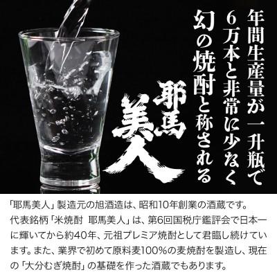 ふるさと納税 中津市 麦焼酎　耶馬美人25度　 1,800ml×2 |  | 03