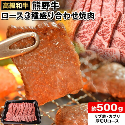 【ふるさと納税】和歌山産 高級和牛 熊野牛 ロース盛合せ焼肉 約500g エバグリーン《30日以内に出荷予定(土日祝除く)》 和歌山県 日高町 牛 うし 牛肉 熊野牛 和牛 高級