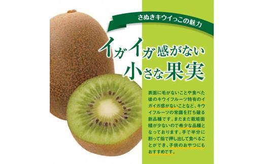 さぬきキウイっこ　約5kg【2024-10月下旬～2024-12月下旬配送】