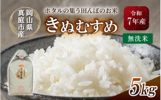 令和7年産 真庭市のきぬむすめ 無洗米 5kg / お米 国産 岡山県 米 人気 ブランド 2025年産 【tkns007-01-cho】