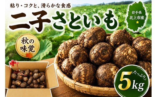 《R8 予約受付/9月下旬～発送開始》北上特産 秋の味覚 里芋「二子いものこ」さといも 詰め合わせ 約5kg 二子 粘り コク 芋の子 特産品 季節野菜 平留商店 岩手県 北上市 E0062