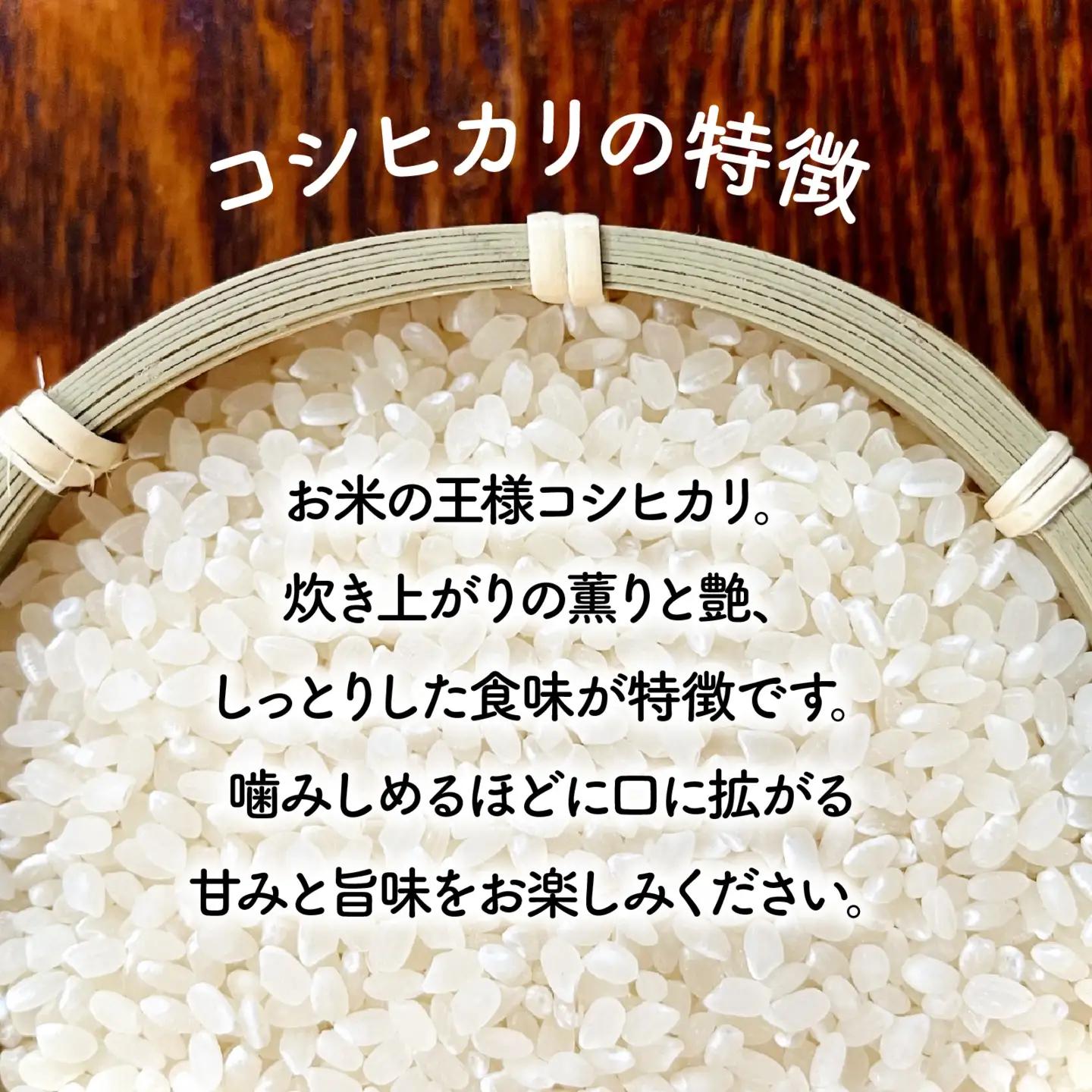【令和7年産】こしひかり 2kg（1kg × 2袋） |  コシヒカリ お米