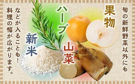 【全6回定期便】農家セレクト！特別栽培 日田の厳選食材 詰め合わせ 日田市 / 自然工房Mori 野菜 果物 米 産地直送 新鮮 セット[ARBR003]