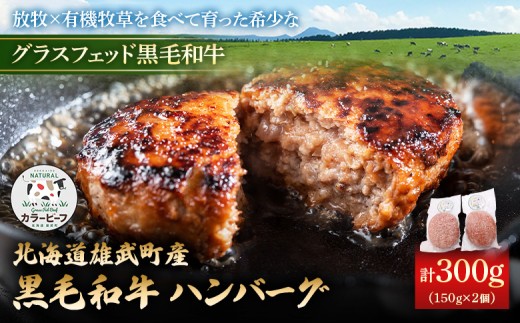 
                  【カラービーフ】黒毛和牛ハンバーグ（150gｘ2個） | 牛肉 黒毛和牛 和牛 有機牛 有機JAS オーガニック グラスフェッド カラービーフ ハンバーグ 150g 2個 計300ｇ 計4個 赤身多め 赤身 肉 旨み 牧草 放牧 自然 安心 安全 脂肪控えめ 脂肪少なめ 上質 軽やか 味わい あっさり 牧草飼育牛 オホーツク海沿岸 お取り寄せ 北海道 雄武町 雄武【01131】
                