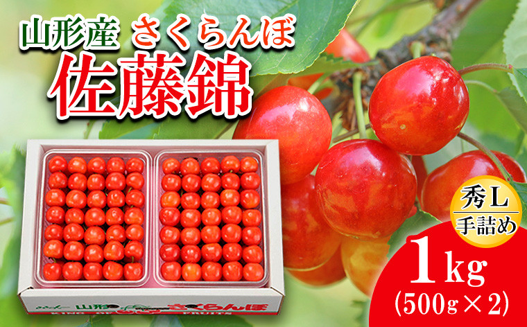 
            さくらんぼ 佐藤錦 Ｌ(500g×2)手詰 【令和7年産先行予約】FS20-090 くだもの 果物 フルーツ 山形 山形県 山形市 2025年産
          