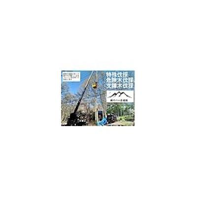 ふるさと納税 茅野市 No25 広葉樹の薪 ソロキャンプ用 薪の長さ約17cm 宅配80サイズ【産地】長野県 八ヶ岳通販 |  | 03