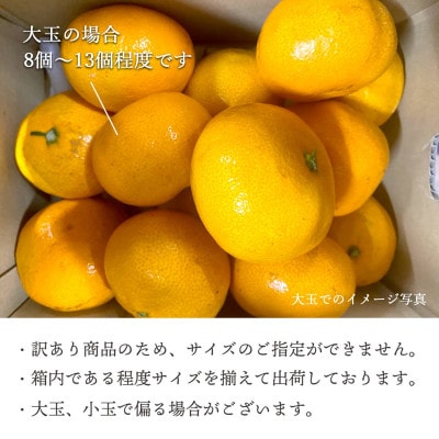 【2025年11月より順次発送】西宇和地区八幡浜産 愛媛みかん2kg【訳あり】【A25−173】【1586173】