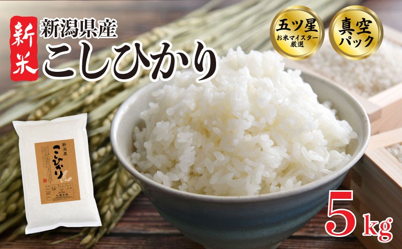 
            こしひかり 5kg 令和7年産 米 真空パック 五つ星お米マイスター 新米 新潟県産 新発田産 コシヒカリ 備蓄 非常 防災 長期保存 アウトドア ごはん ご飯 お米 米 こめ 新潟県 新発田市 三糧 sanryo002_01
          