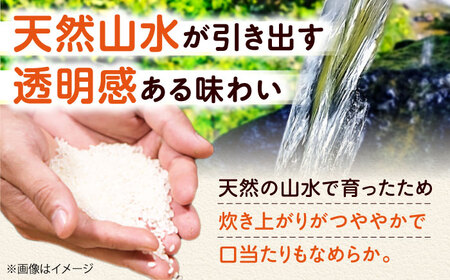 【全3回定期便】お米 10キロ 米 お米 白米 コメ おこめ 10kg 大阪府高槻市/ベジ彩ファーム[AOEJ011]