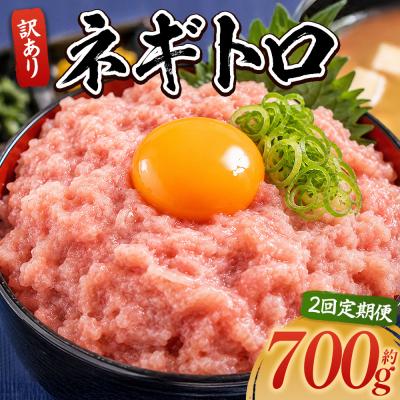 ふるさと納税 香南市 【定期便】ネギトロ丼にも 訳ありネギトロ 小分け まぐろ セット 2回 計700g Wda-0019