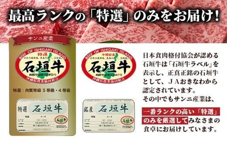 石垣牛ハンバーグセット100g×10個＜2026年3月発送＞ | 沖縄 石垣 牛 黒毛 和牛 ハンバーグ 肉 シークヮーサー 冷凍