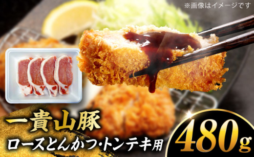 【冷蔵】一貴山豚 ロースとんかつ・トンテキ用 計480g(120g×4枚) 糸島市 / いきさん牧場 豚肉 冷凍 [AGB032]