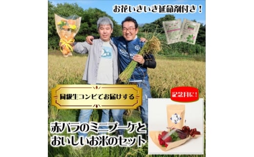 1月発送!同級生コンビでお届けする赤バラのブーケとおいしいお米のセット・お花長持ち栄養剤付き!【1705821】