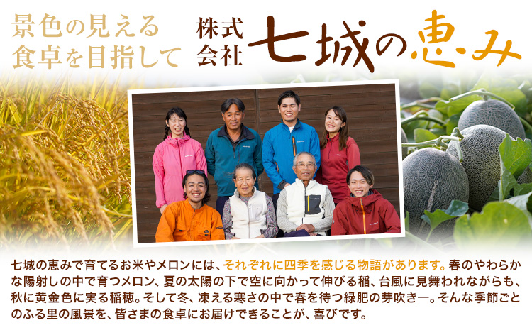 令和7年産 つるたファームの米 自然にこまる 自然栽培米 にこまる 5kg 株式会社七城の恵み《30日以内に出荷予定(土日祝除く)》熊本県 菊池市 米 にこまる つるたファーム---126-2521-