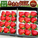 【ふるさと納税】特別栽培 福岡県産 あまおう EX 合計 約900g 約450g×2パック ギフト配送 いちご 苺 果物 フルーツ エコファーマー 送料無料 【2025年1月上旬～3月下旬発送予定】