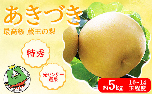 
                  【先行予約】最高級 蔵王の梨 あきづき  約5kg  特秀･大玉　【04301-0717】梨 なし 果物 くだもの スイーツ フルーツ デザート 甘い ジューシー 蔵王
                