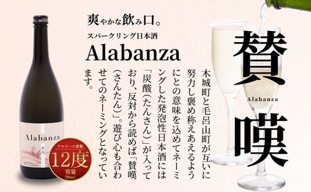 ＜【7日以内に発送！】令和5年産 木城町・毛呂山町 新しき村友情都市コラボ日本酒２種４本セット（城２本・Alabanza２本）＞ K21_0022