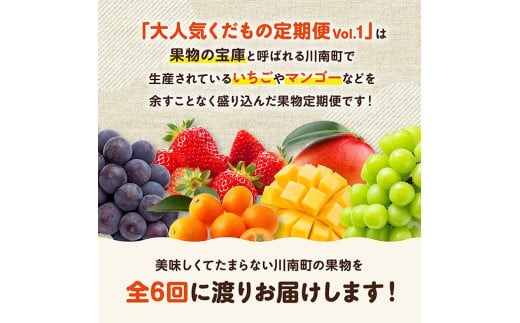 ※期間限定※【6ヶ月定期便】大人気くだもの定期便Vol.1【 川南町産 くだもの いちご イチゴ きんかん マンゴー シャインマスカット ピオーネ  】[C11712t6]