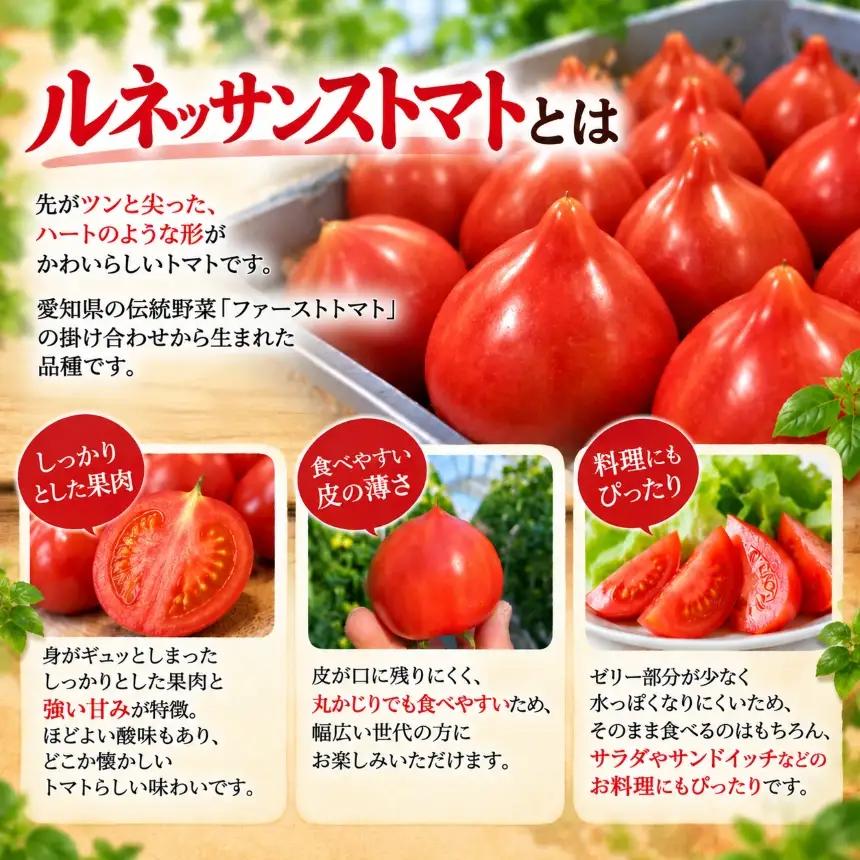 農家直送 旬のトマト  ルネッサンストマト 約1kg