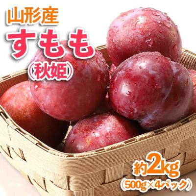 ふるさと納税 山形市 山形産 すもも(秋姫) 約2kg(500g×4パック) 【令和8年産先行予約】FU23-536