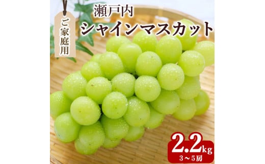 【ふるさと納税】期間限定 シャインマスカット 1房(約600g)～最大9房(約4.4kg以上) [ フルーツ 果物 ぶどう マスカット 美味しい 旬 糖度 皮ごと 種なし 送料無料 食品 大粒 訳あり 贈答用 ギフト 三豊市 五色青果 返礼品]【配送不可地域：北海道・沖縄県・離島】