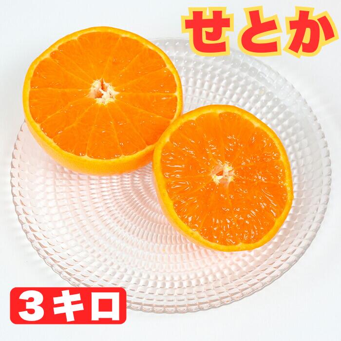 【ふるさと納税】せとか 約3kg（化粧箱入） ／ ミカン みかん 蜜柑 柑橘類 せとか 3kg 先行予約 フルーツ ＜132-007＞