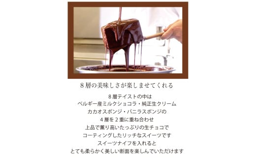 長崎石畳ショコラ ハーフサイズ