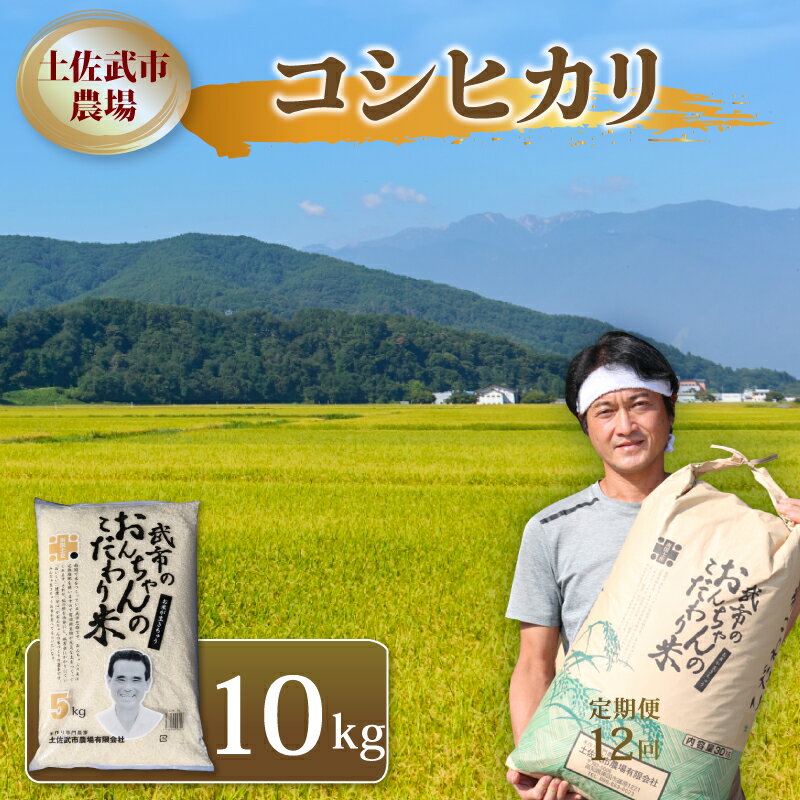 【ふるさと納税】 コシヒカリ 10キロ 10kg 令和7年度 数量限定 米 コメ お米 精米 ご飯 おにぎり こめ 白米 高知県 南国市