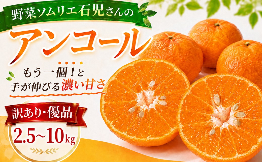 【訳あり・優品】野菜ソムリエ石児さんの「アンコール 約2.5kg」