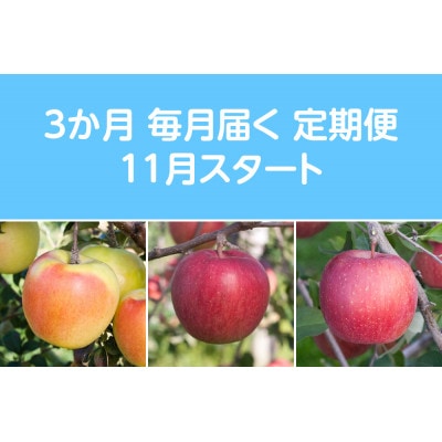 【発送月固定定期便】先行予約〈2025年11月より順次発送〉甘味系・青森県産りんご約3kg 全3回【配送不可地域：離島・沖縄県】【4051689】