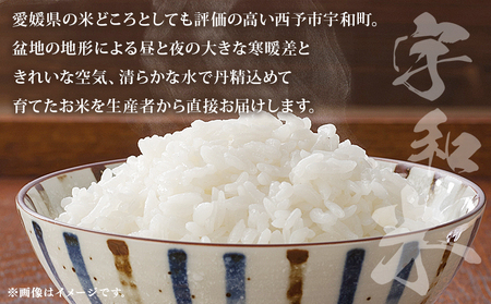＜令和7年産 松本農園直送 宇和米（コシヒカリ）約6kg＞ こしひかり 米 コメ こめ 白米 精米 うわまい ウワマイ ご飯 新鮮 6キロ お弁当 朝 昼 夜 国産 特産品 愛媛県 西予市【常温】『2