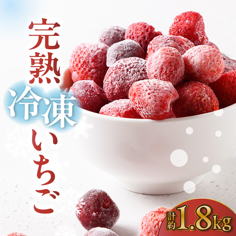 【先行予約】完熟冷凍いちご 【600g×3袋】計1.8kg いちご 苺 ストロベリー 冷凍 フローズン 美味しい 甘い 大粒 大きい 果物 フルーツ 数量限定 farmいちごろ 愛知県 常滑市