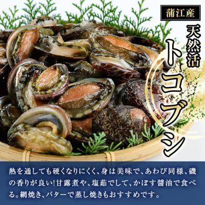 ふるさと納税 佐伯市 天然 トコブシ (約900g) |  | 01