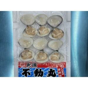 開いちゃいました 九十九里産 酒蒸し蛤 (冷凍) 1.2kg（300g×4袋） 冷凍はまぐり 冷凍 天然  天然 天然 天然 天然 蛤 蛤 蛤 蛤 蛤