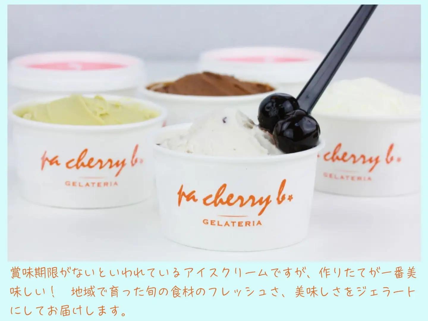 ＜7月・8月限定出荷＞pa cherry b．サマーセレクション2026オリジナルジェラート12個セット　鳥取県南部町【PB06S】