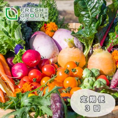 ふるさと納税 淡路市 【定期便】彩り野菜と香るハーブセット　3回お届け野菜セット　ah11804