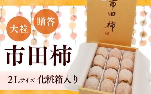 TS05-25A  南信州産 市田柿 2Lサイズ 12個入（化粧箱入）// 長野県 南信州 干し柿 市田柿 大粒 2Lサイズ 贈答 高糖度 ドライフルーツ ギフト