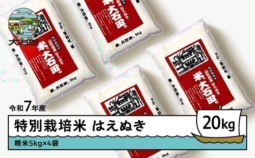 新米 米 令和7年産 米 はえぬき 20㎏ 2026年6月下旬発送 大石田町産 特別栽培米 精米 ※沖縄・離島への配送不可 ja-hasxa20-6s