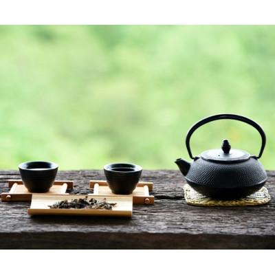 ふるさと納税 広川町 【毎月定期便】八女茶【特上】煎茶セット　100g×2袋(広川町)全2回 |  | 02
