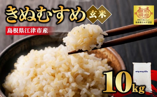 【先行予約】【R8年度産】島根県江津市 きぬむすめ 玄米 10kg MG-6｜ 島根県江津市産 国産 米 玄米 きぬむすめ ごはん ご飯 弁当 おにぎり 10キロ