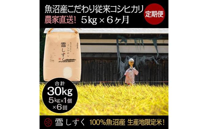 【令和7年産】定期便！魚沼産こだわり従来コシヒカリ【合計30kg】毎月5kg×6回 ブランド米 銘柄米 白米 精米 ご飯 おにぎり お弁当 
