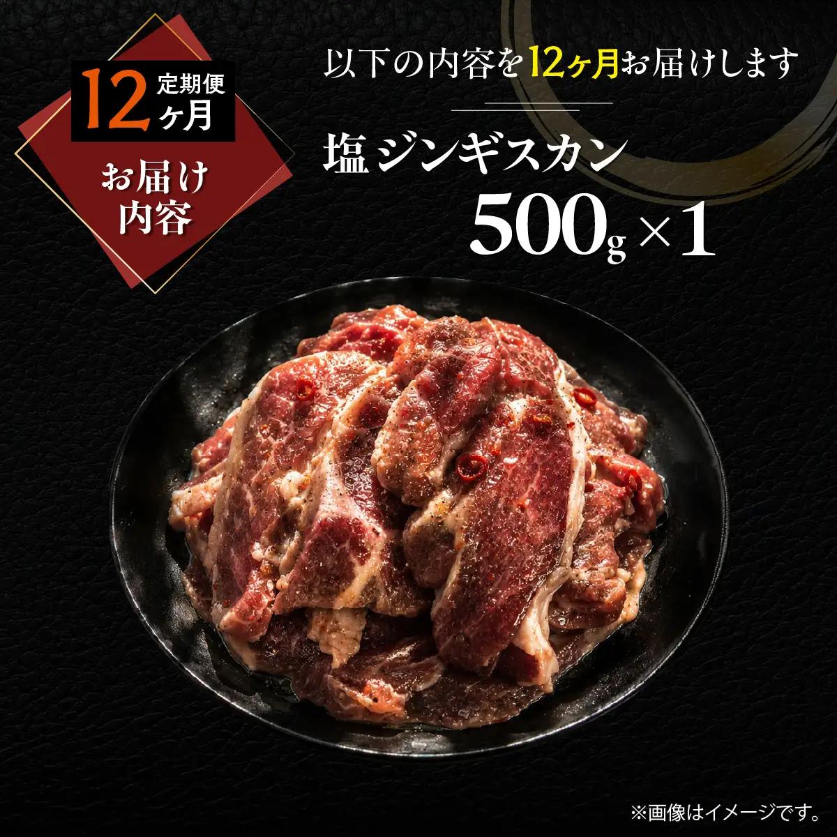 【12ヶ月定期便】塩ジンギスカン500g×1 MROA212